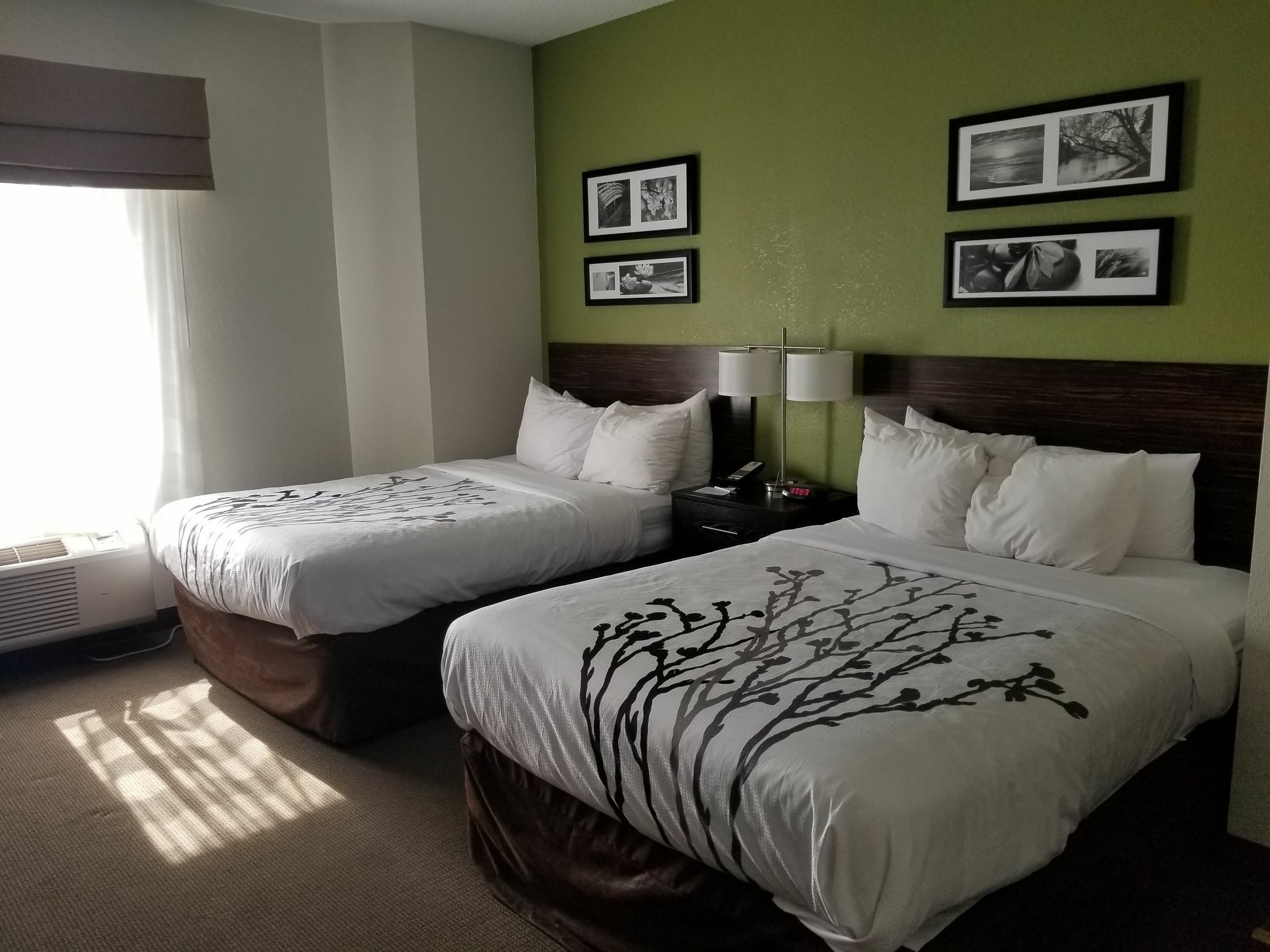 Sleep Inn Walterboro I-95 Екстериор снимка